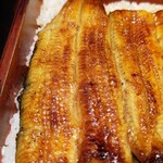 recommendations for つきじ宮川本廛 京王クラウン街笹塚店