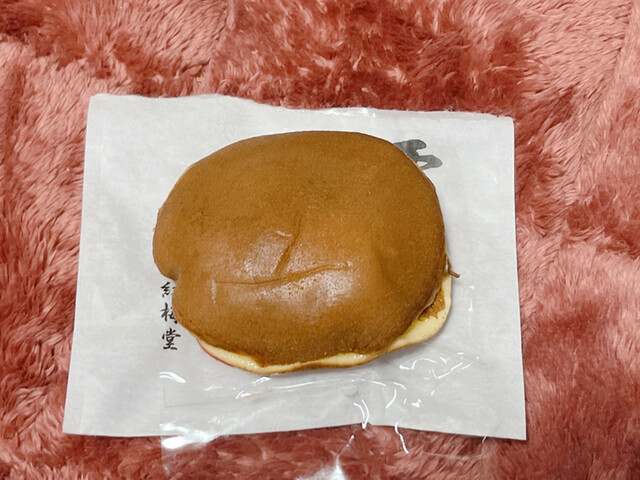 紅梅堂的实拍高清图