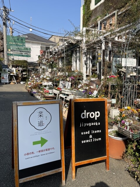 菜道的實拍高清圖