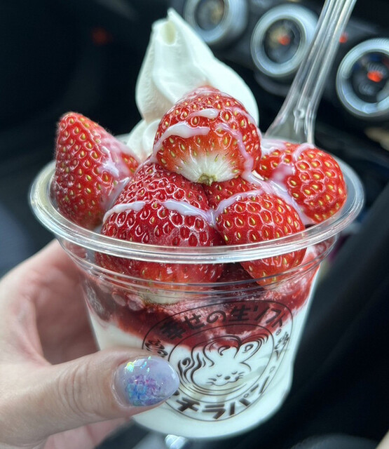 recommendations image for 幸せの生ソフト プチラパン