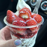 recommendations for 幸せの生ソフト プチラパン