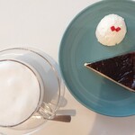 recommendations for papillon