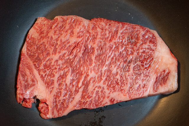 松喜的實拍高清圖