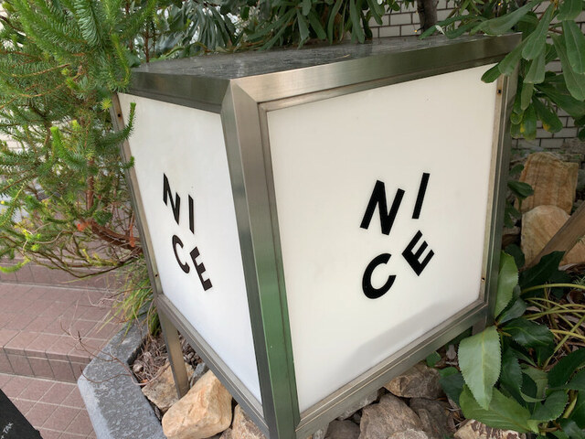 NICE的实拍高清图