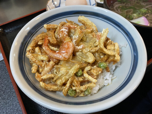 大新的實拍高清圖