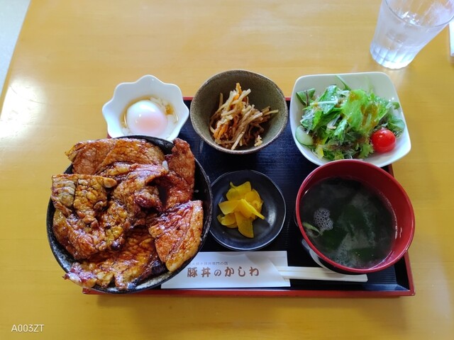 豚丼のかしわ的实拍高清图