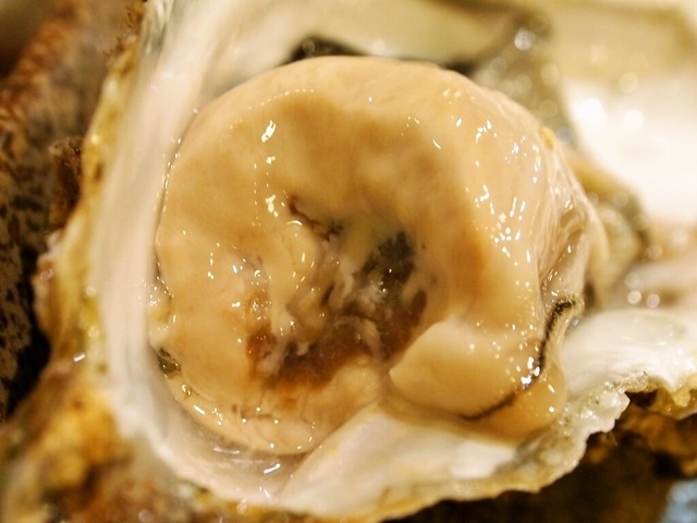 recommendations image for 金太郎寿し