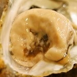 recommendations for 金太郎寿し