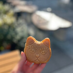 猫間的實拍圖