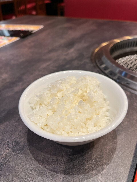 牛勢的實拍高清圖