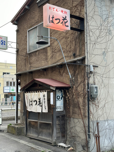 はつ花的實拍高清圖