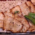 recommendations for 大坂かしわ飯 ロマン亭
