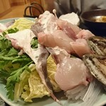 recommendations for ふぐくじら