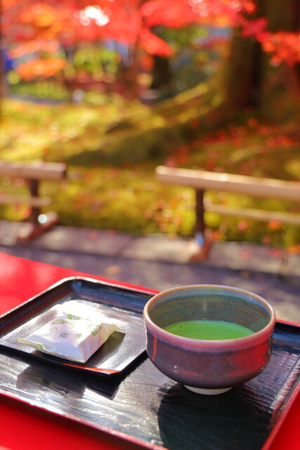 recommendations image for みかえり茶屋