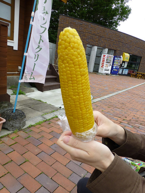 赤いシャッポ的实拍图