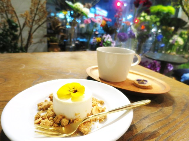 コチト ハナトオカシト的實拍高清圖