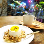 コチト ハナトオカシト的實拍圖