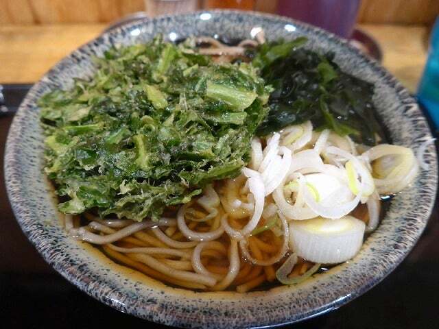 のじろう的实拍高清图
