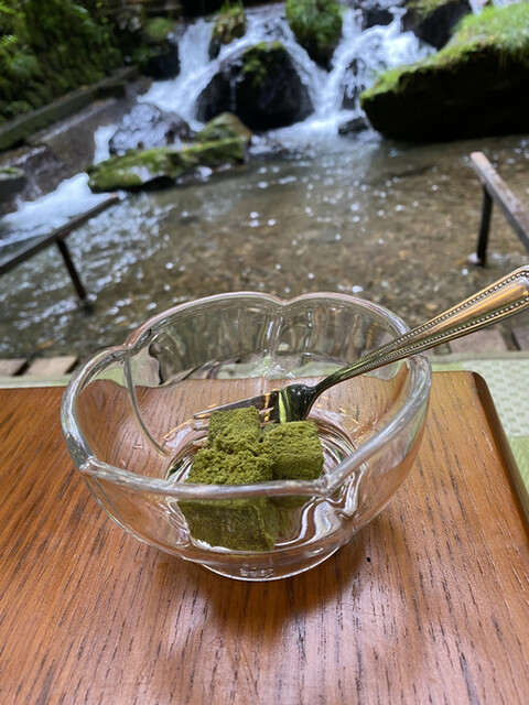 かつら的实拍高清图