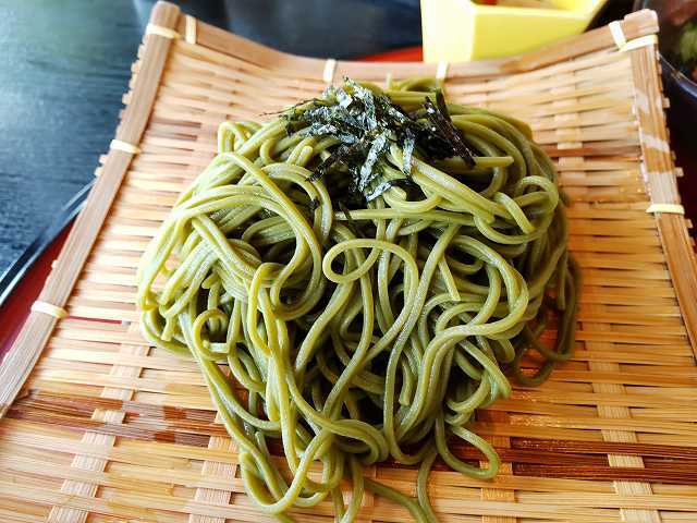櫟的实拍高清图