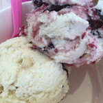 recommendations for サーティワンアイスクリーム 東大阪六万寺ロードサイド店