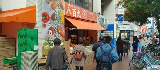 八百丸 琴似店的實拍高清圖