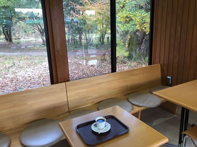 森のカフェ的實拍高清圖