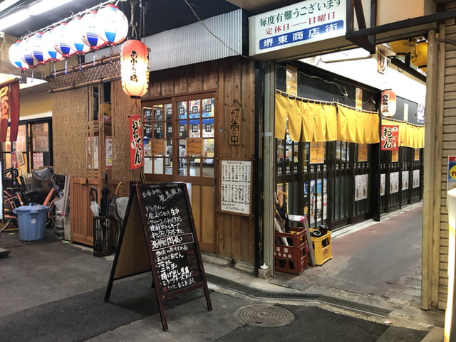 花鳥風月的实拍高清图