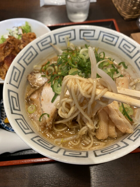 きんちゃん的实拍高清图