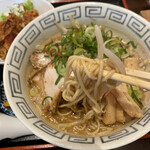 きんちゃん的实拍图