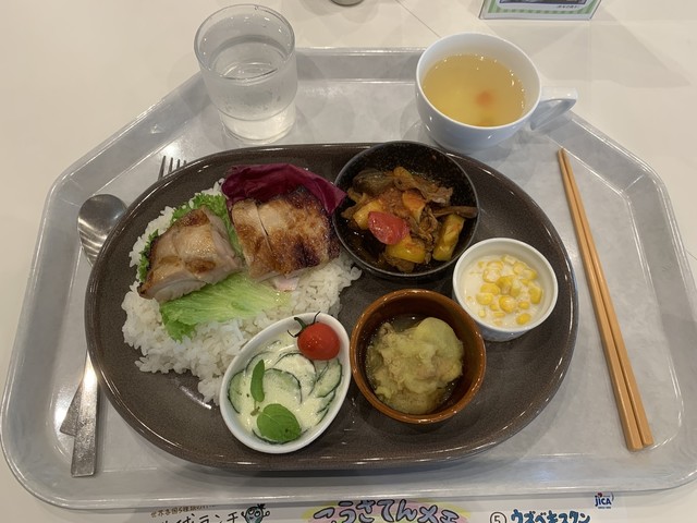レストランカフェ・地球こうさてん的实拍高清图