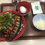 recommendations for すき家 森下店