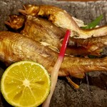 recommendations for 寿司割烹 やまびこ