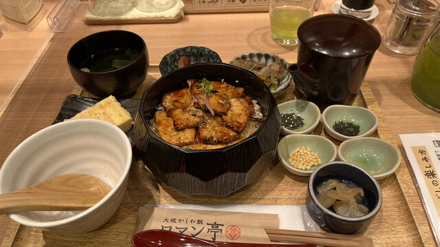 recommendations image for 大坂かしわ飯 ロマン亭
