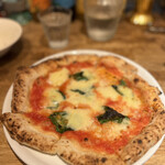 recommendations for Daniel's Mondo