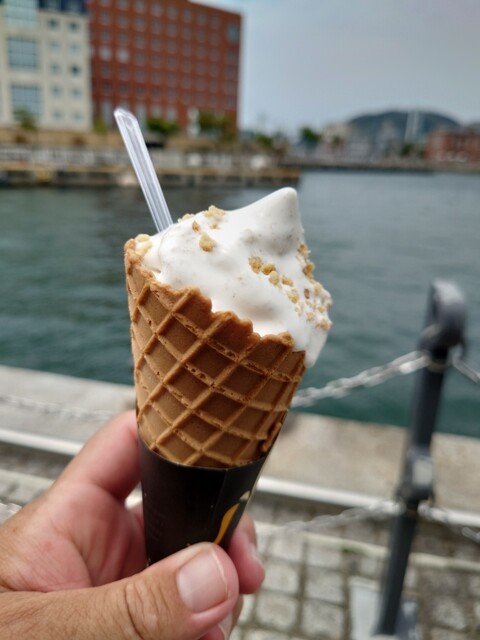 Bana1的实拍高清图