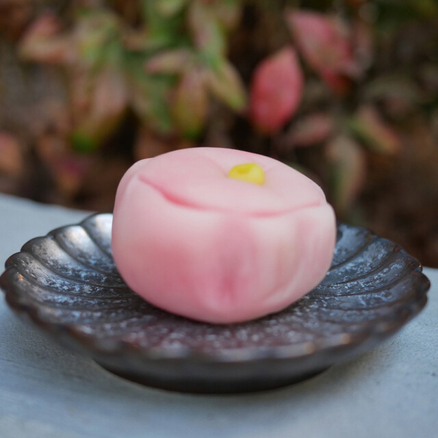 徳太樓的實拍高清圖