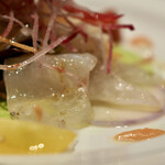 recommendations for 青いけ