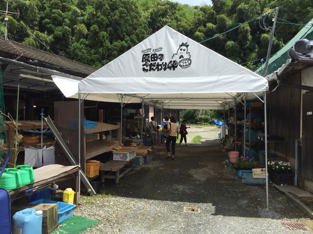 原田のこだわり卵 山﨑幹男養鶏場的實拍高清圖