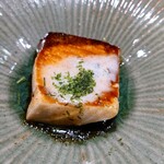 高瀬川 槇的实拍图