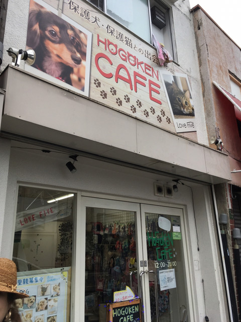 recommendations image for 保護犬＆保護猫カフェ 寺田町店