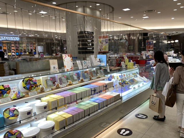 recommendations image for タネビッツ