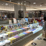 recommendations for タネビッツ