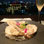 シェルポ的實拍圖