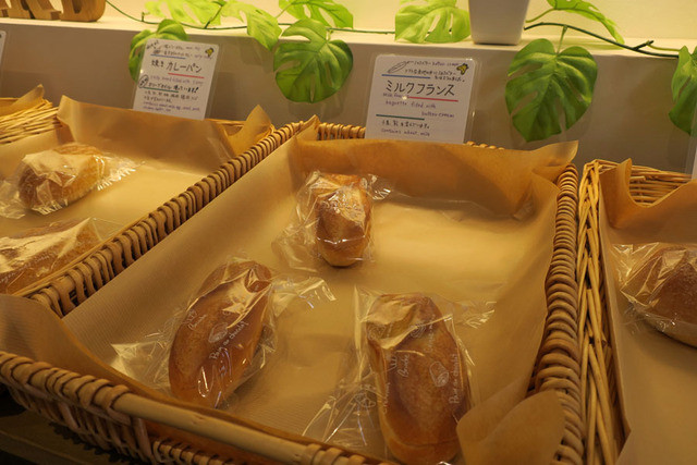 ルナール的实拍高清图