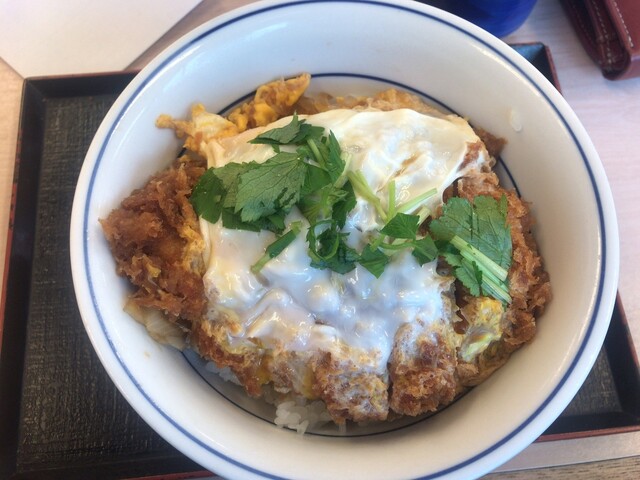 recommendations image for かつや 八王子大和田店