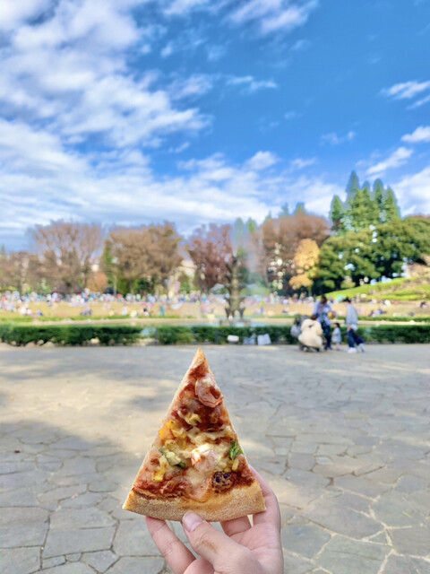 recommendations image for ドミノピザ 世田谷公園店