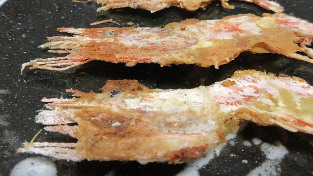 越前海鮮倶楽部 大阪店的實拍高清圖