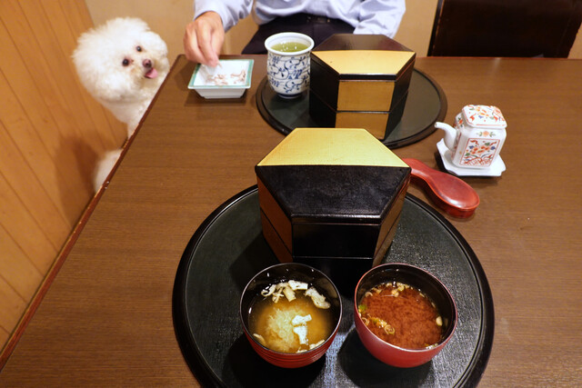 白金台すし兆的實拍高清圖