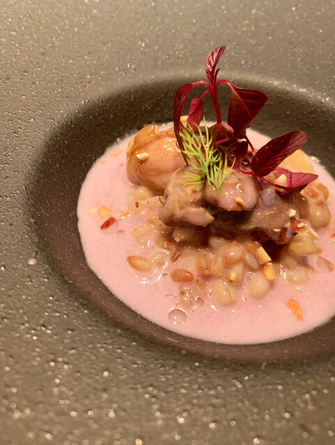 シェルポ的實拍高清圖